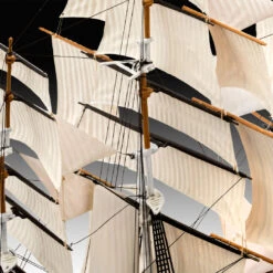 Coupon 🧨 Cutty Sark Sailing Ship 150th Anniversary w/paint & glue 1/220 Revell Germany ⭐ -megahobby Sales Store 05430 md05 cutty sark 150th anniversary 80913.1624467772