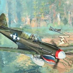 Top 10 ⭐ P-40N War Hawk 1/32 Trumpeter 🎁