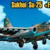 Hot Sale ⭐ Sukhoi Su25 Frogfoot Aircraft 1/72 Art Model Kits 🎁