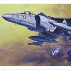 Hot Sale 🤩 AV-8B Harrier II Plus 1/48 Hasegawa 💯