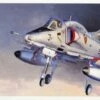 Cheap 🔔 A-4M Skyhawk 1/48 Hasegawa 😍