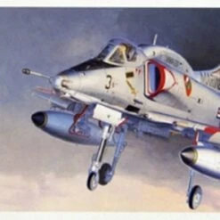 Cheap 🔔 A-4M Skyhawk 1/48 Hasegawa 😍
