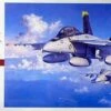 Budget 🎉 F/A-18F Super Hornet 1/48 Hasegawa ✔️