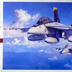 Budget 🎉 F/A-18F Super Hornet 1/48 Hasegawa ✔️