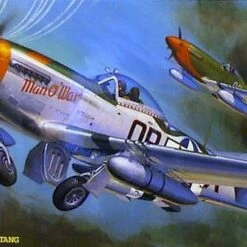 Best Pirce ✔️ P-51D Mustang Man O' War 1/32 Hasegawa ⭐