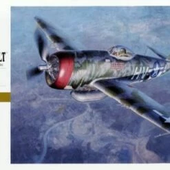 Budget 🌟 P-47D Thunderbolt 1/32 Hasegawa ⌛
