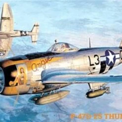 Top 10 ❤️ P-47D25 Thunderbolt 1/48 Hasegawa ✔️