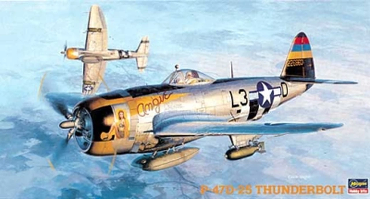 Top 10 ❤️ P-47D25 Thunderbolt 1/48 Hasegawa ✔️ 1 Top 10 ❤️ P-47D25 Thunderbolt 1/48 Hasegawa ✔️