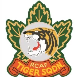 Hot Sale ✨ Dornier Do 335A-10 2-Seater Trainer Aircraft 1/32 HK Models 🔥 -megahobby Sales Store RCAF Tiger Sqdn sticker 03304.1612202854