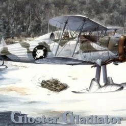 Top 10 👍 Gloster Gladiator Mk.II 1/48 Roden 🔥