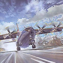 Best reviews of 👍 AN-12BK Civil 1/72 Roden 🧨