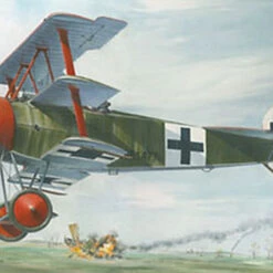 Best Pirce 👍 Fokker Dr.1 1/32 Roden ⌛