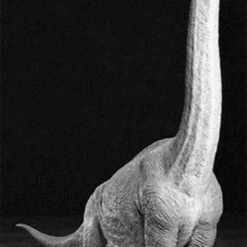 Best Sale 😀 Brachiosaurus Diorama 1/35 Tamiya 💯