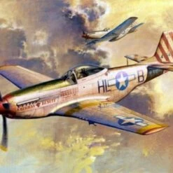 Top 10 💯 P-51D Mustang IV Fighter 1/32 Trumpeter 👍