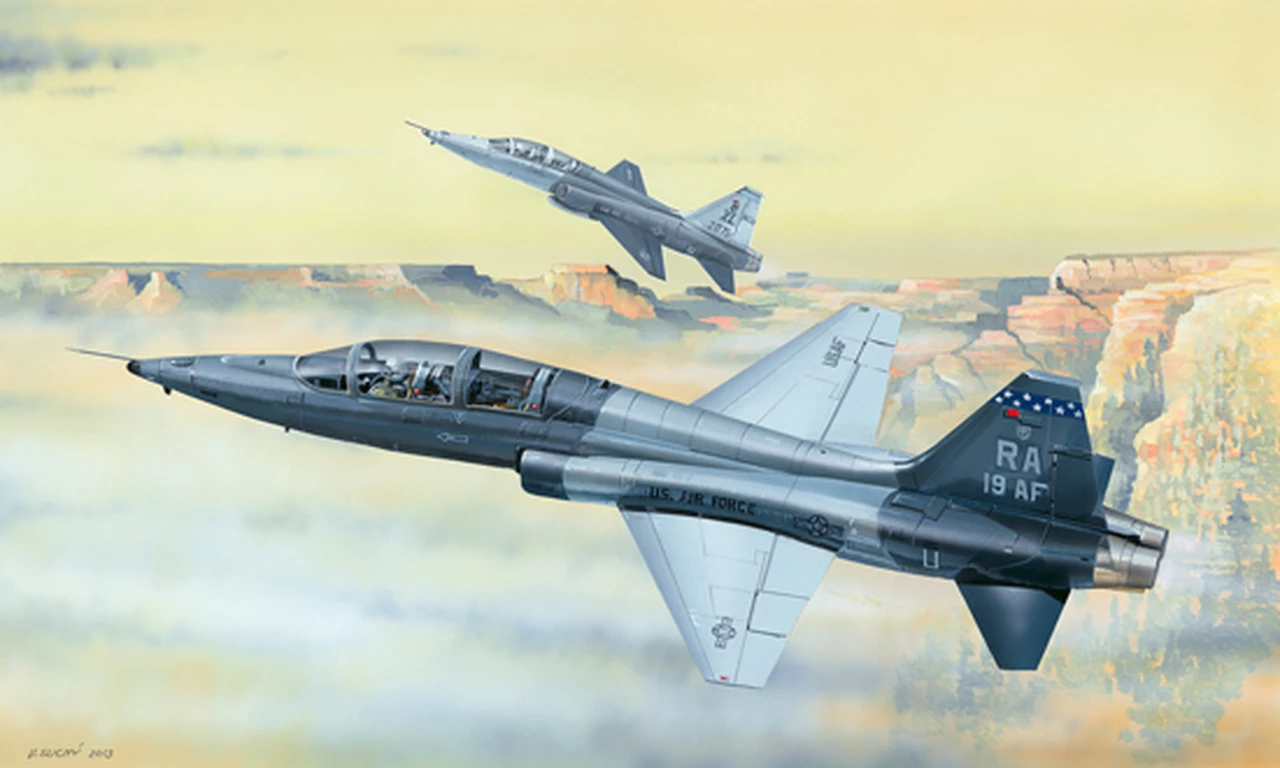 Flash Sale π― USAF T-38C Talon Jet Trainer 1/48 Trumpeter β 1 Flash Sale π― USAF T-38C Talon Jet Trainer 1/48 Trumpeter β