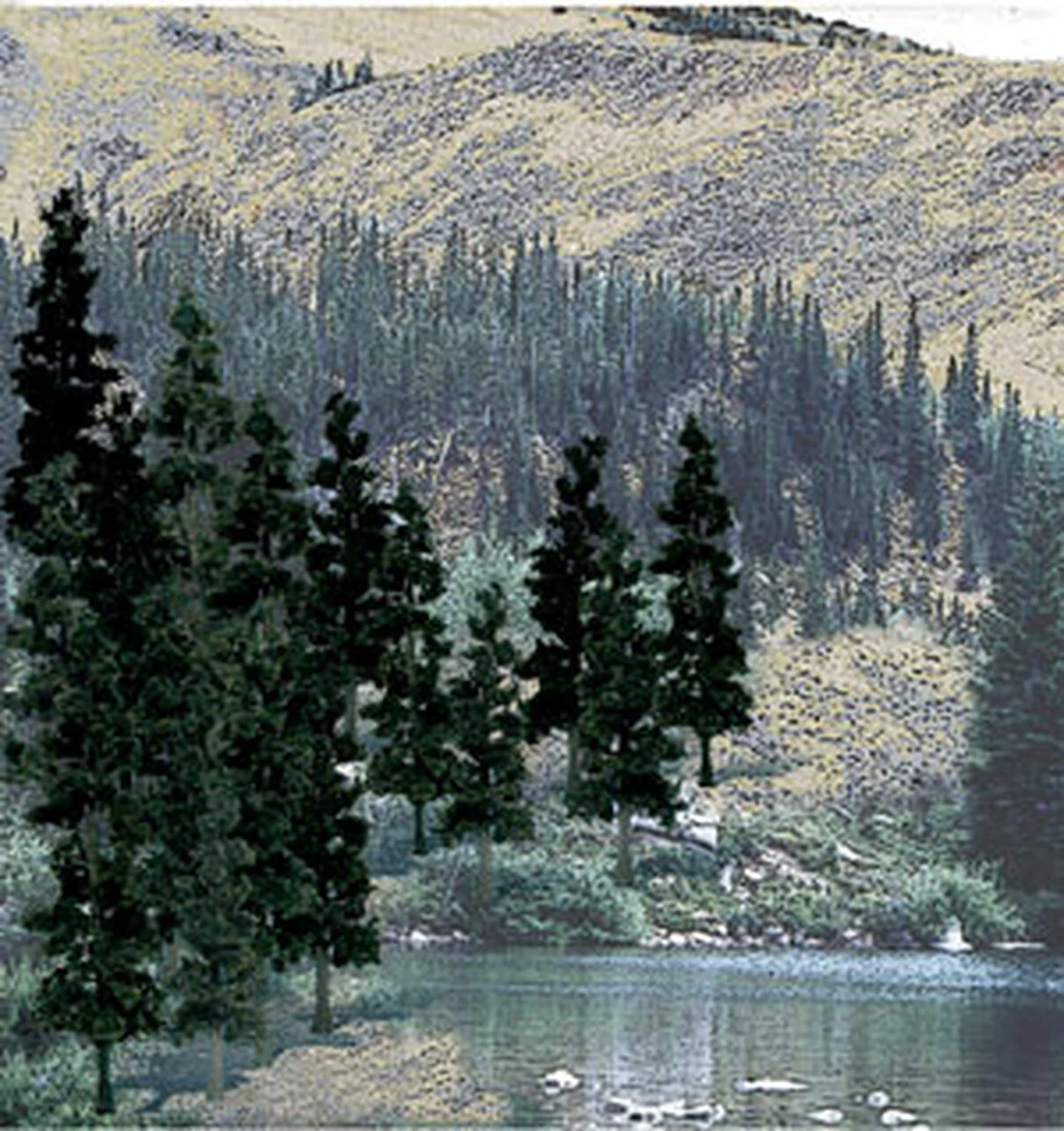 Coupon π€© Conifer Green Value Pack Ready-Made Trees 4" - 6" Woodland Scenics π 1 Coupon π€© Conifer Green Value Pack Ready-Made Trees 4" - 6" Woodland Scenics π