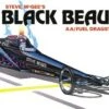 Best Sale 🧨 Steve McGee's Black Beauty AA/Fuel Dragster 1/25 AMT Models ⌛