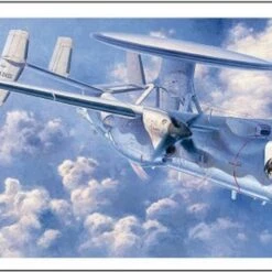 Buy 🧨 E-2C Hawkeye JASDF AEW JASDF 2-Seater Trainer Aircraft 1/72 Hasegawa 🌟