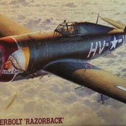 Best deal 🌟 P-47D Thunderbolt Razorback USAAF Fighter 1/48 Hasegawa 😀