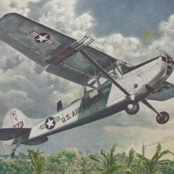 Buy 💯 L-19/O-1 Bird Dog USAF Light Communications Aircraft 1/48 Roden 👍