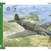 Cheapest ✨ P-400 Airacobra Fighter 1/32 Special Hobby ✨