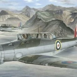 Brand new ⭐ Blackburn Skua Mk II Fighter Norwegian Campaign 1/48 Special Hobby 👍