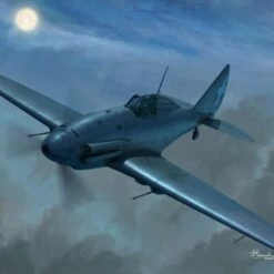 Hot Sale 🔔 Reggiane Re2001CN Night Fighter 1/48 Sword Models 🎉