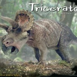 Best reviews of ✔️ Triceratops Dinosaur (New Tool) 1/24 Pegasus 😀