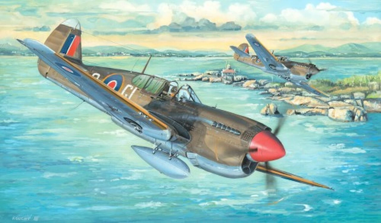 Cheapest π P-40M Warhawk Fighter 1/32 Trumpeter β€οΈ 1 Cheapest π P-40M Warhawk Fighter 1/32 Trumpeter β€οΈ