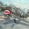 Promo 👏 P-40F Warhawk 1/32 Trumpeter 🎁